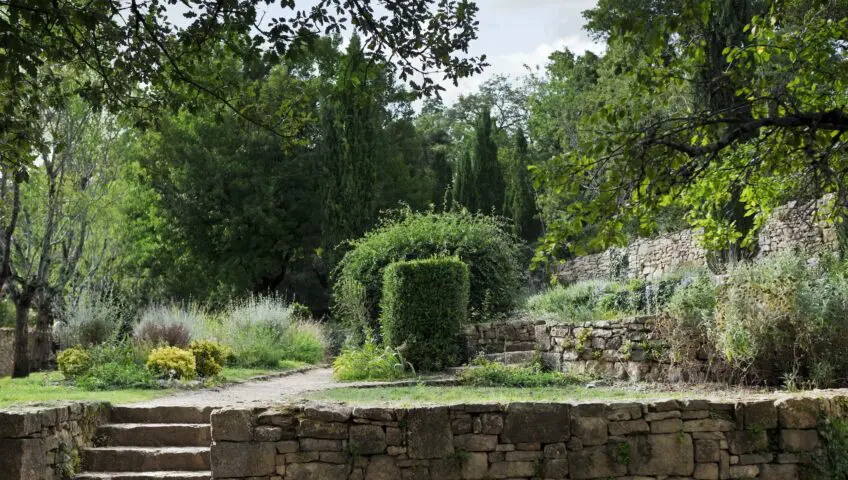 Garden and terrace