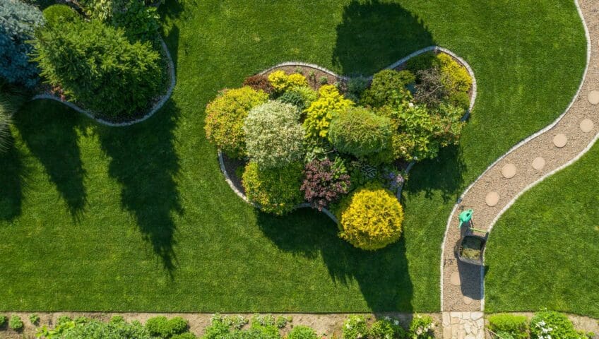 Maintenance of Landscape Island in Big Backyard Garden